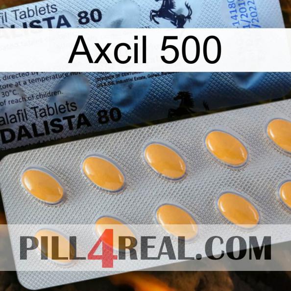 Axcil 500 44.jpg